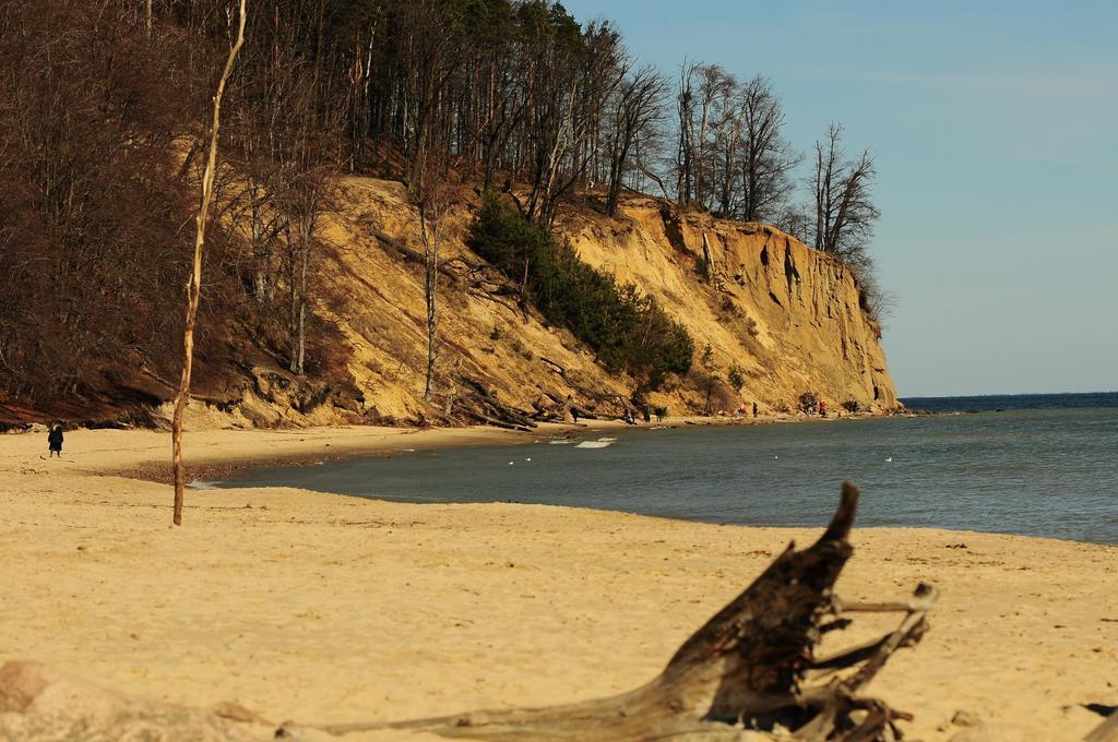 Orlowo Nadmorskie Gdynia Kültér fotó